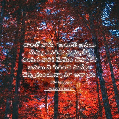 Picture 05 - యోహాను 1:22 TELIRV - దాంతో వారు, “అయితే - Bible Verse Picture