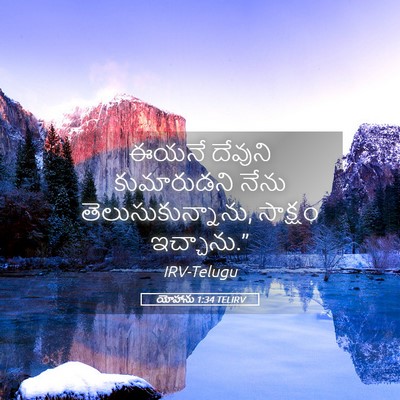 Picture 05 - యోహాను 1:34 TELIRV - ఈయనే దేవుని - Bible Verse Picture