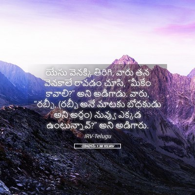 Picture 05 - యోహాను 1:38 TELIRV - యేసు వెనక్కి - Bible Verse Picture