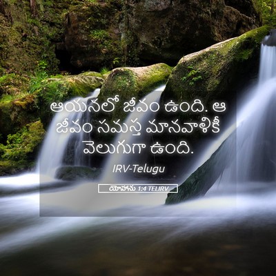 Picture 05 - యోహాను 1:4 TELIRV - ఆయనలో జీవం ఉంది. ఆ - Bible Verse Picture