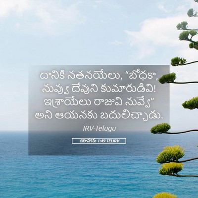 Picture 05 - యోహాను 1:49 TELIRV - దానికి నతనయేలు, - Bible Verse Picture