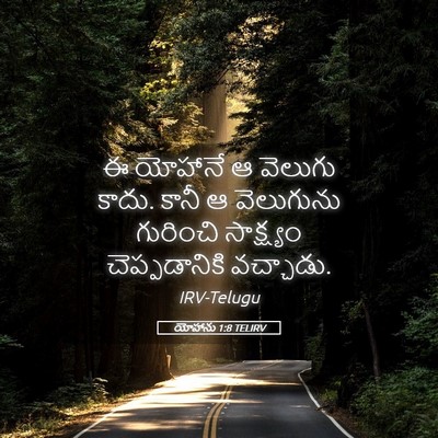 Picture 05 - యోహాను 1:8 TELIRV - ఈ యోహానే ఆ వెలుగు - Bible Verse Picture