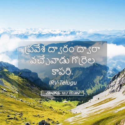 Picture 05 - యోహాను 10:2 TELIRV - ప్రవేశ ద్వారం - Bible Verse Picture