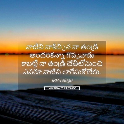 Picture 05 - యోహాను 10:29 TELIRV - వాటిని నాకిచ్చిన - Bible Verse Picture