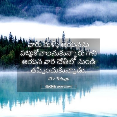 Picture 05 - యోహాను 10:39 TELIRV - వారు మళ్ళీ ఆయనను - Bible Verse Picture