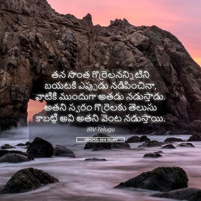 Picture 05 - యోహాను 10:4 TELIRV - తన సొంత - Bible Verse Picture