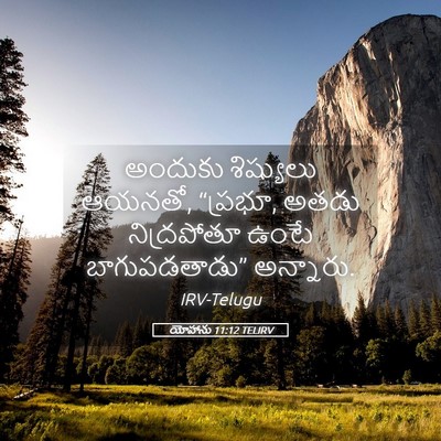 Picture 05 - యోహాను 11:12 TELIRV - అందుకు శిష్యులు - Bible Verse Picture