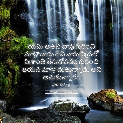 Picture 05 - యోహాను 11:13 TELIRV - యేసు అతని చావు - Bible Verse Picture