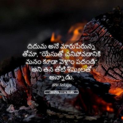 Picture 05 - యోహాను 11:16 TELIRV - దిదుమ అనే - Bible Verse Picture
