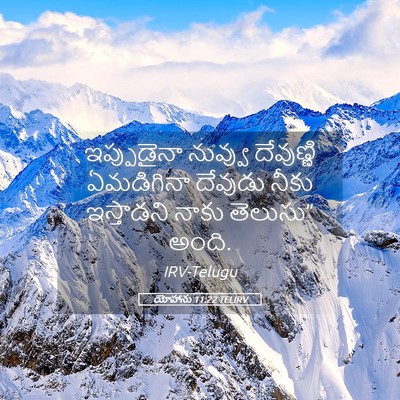 Picture 05 - యోహాను 11:22 TELIRV - ఇప్పుడైనా నువ్వు - Bible Verse Picture