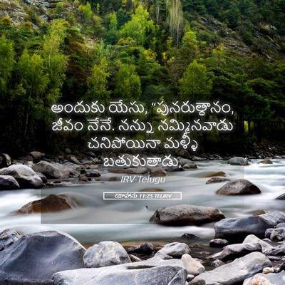 Picture 05 - యోహాను 11:25 TELIRV - అందుకు యేసు, - Bible Verse Picture