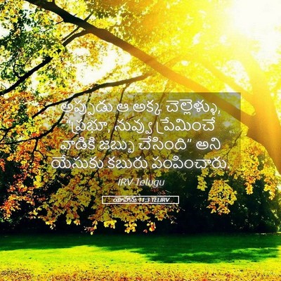 Picture 05 - యోహాను 11:3 TELIRV - అప్పుడు ఆ అక్క - Bible Verse Picture