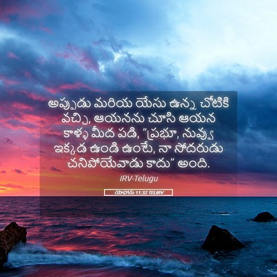 Picture 05 - యోహాను 11:32 TELIRV - అప్పుడు మరియ యేసు - Bible Verse Picture