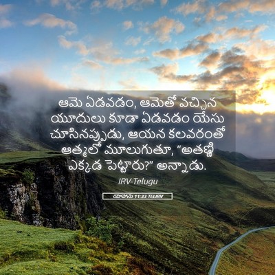 Picture 05 - యోహాను 11:33 TELIRV - ఆమె ఏడవడం, ఆమెతో - Bible Verse Picture