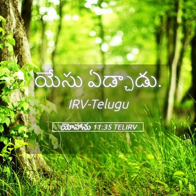 Picture 05 - యోహాను 11:35 TELIRV - యేసు - Bible Verse Picture
