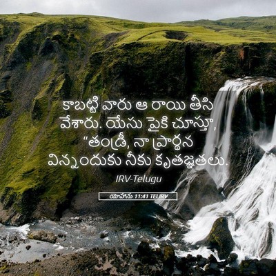 Picture 05 - యోహాను 11:41 TELIRV - కాబట్టి వారు ఆ - Bible Verse Picture
