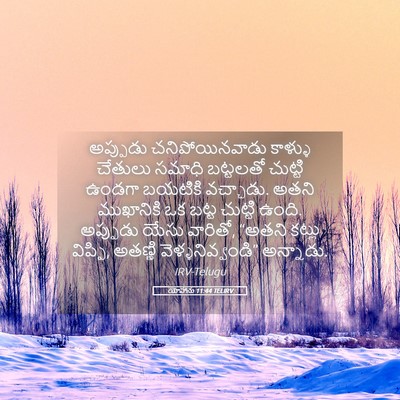 Picture 05 - యోహాను 11:44 TELIRV - అప్పుడు - Bible Verse Picture