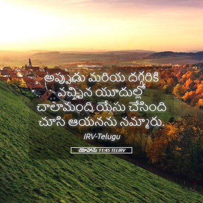 Picture 05 - యోహాను 11:45 TELIRV - అప్పుడు మరియ - Bible Verse Picture