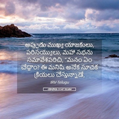 Picture 05 - యోహాను 11:47 TELIRV - అప్పుడు ముఖ్య - Bible Verse Picture