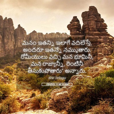 Picture 05 - యోహాను 11:48 TELIRV - మనం ఇతన్ని ఇలాగే - Bible Verse Picture