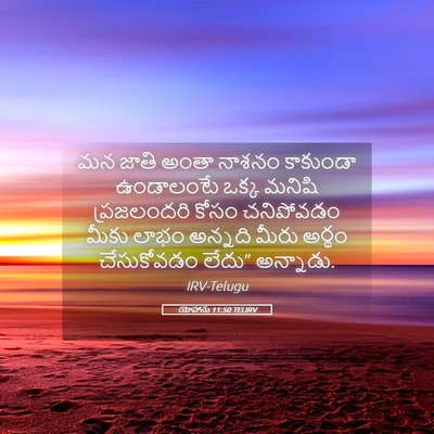 Picture 05 - యోహాను 11:50 TELIRV - మన జాతి అంతా నాశనం - Bible Verse Picture