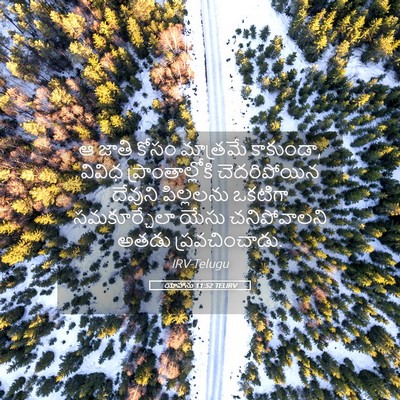 Picture 05 - యోహాను 11:52 TELIRV - ఆ జాతి కోసం - Bible Verse Picture