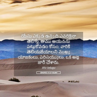 Picture 05 - యోహాను 11:57 TELIRV - యేసు ఎక్కడ ఉన్నది - Bible Verse Picture