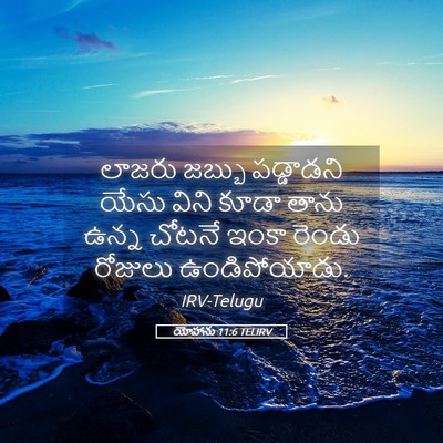 Picture 05 - యోహాను 11:6 TELIRV - లాజరు జబ్బు - Bible Verse Picture