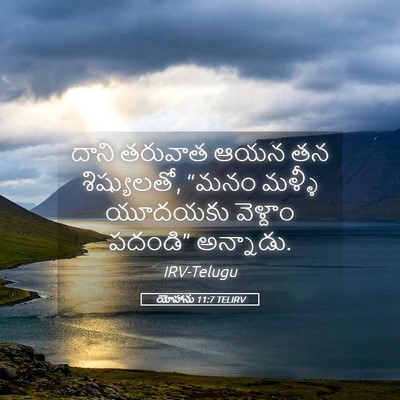 Picture 05 - యోహాను 11:7 TELIRV - దాని తరువాత ఆయన తన - Bible Verse Picture