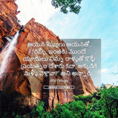 Picture 05 - యోహాను 11:8 TELIRV - ఆయన శిష్యులు - Bible Verse Picture