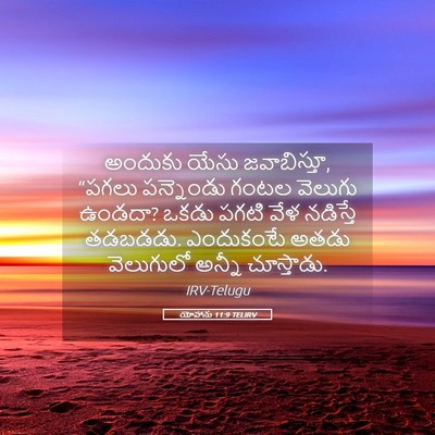 Picture 05 - యోహాను 11:9 TELIRV - అందుకు యేసు - Bible Verse Picture