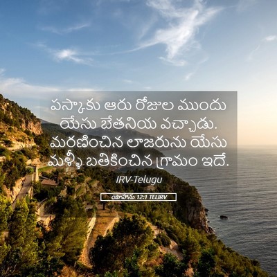Picture 05 - యోహాను 12:1 TELIRV - పస్కాకు ఆరు రోజుల - Bible Verse Picture