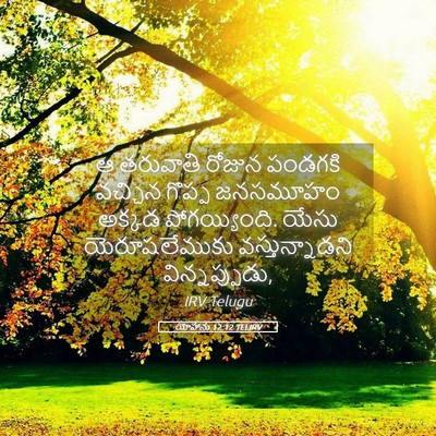 Picture 05 - యోహాను 12:12 TELIRV - ఆ తరువాతి రోజున - Bible Verse Picture