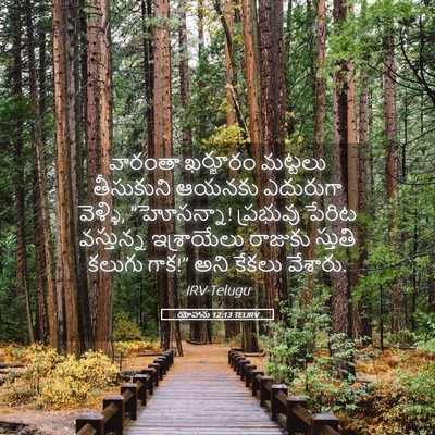 Picture 05 - యోహాను 12:13 TELIRV - వారంతా ఖర్జూరం - Bible Verse Picture