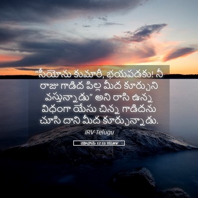 Picture 05 - యోహాను 12:15 TELIRV - “సీయోను కుమారీ, - Bible Verse Picture