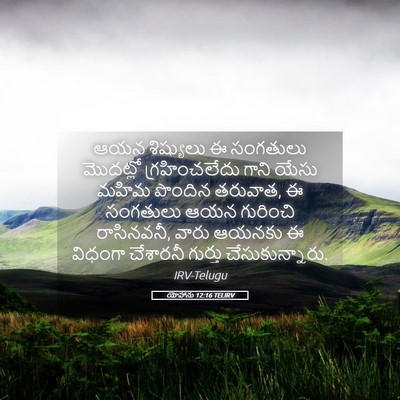 Picture 05 - యోహాను 12:16 TELIRV - ఆయన శిష్యులు ఈ - Bible Verse Picture