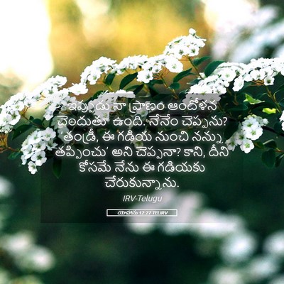 Picture 05 - యోహాను 12:27 TELIRV - ఇప్పుడు నా ప్రాణం - Bible Verse Picture