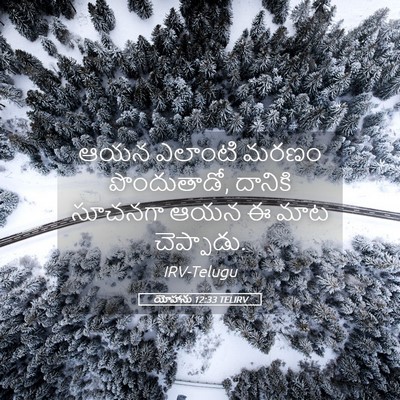 Picture 05 - యోహాను 12:33 TELIRV - ఆయన ఎలాంటి మరణం - Bible Verse Picture