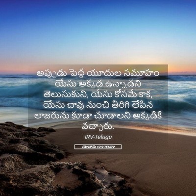 Picture 05 - యోహాను 12:9 TELIRV - అప్పుడు పెద్ద - Bible Verse Picture