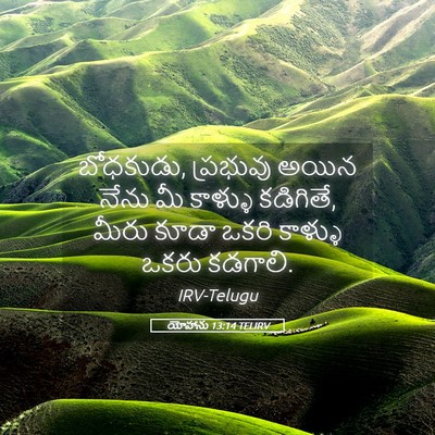 Picture 05 - యోహాను 13:14 TELIRV - బోధకుడు, ప్రభువు - Bible Verse Picture