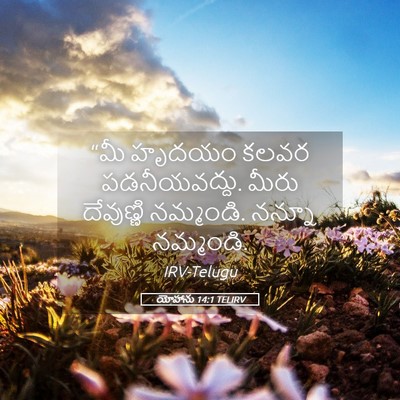 Picture 05 - యోహాను 14:1 TELIRV - “మీ హృదయం కలవర - Bible Verse Picture