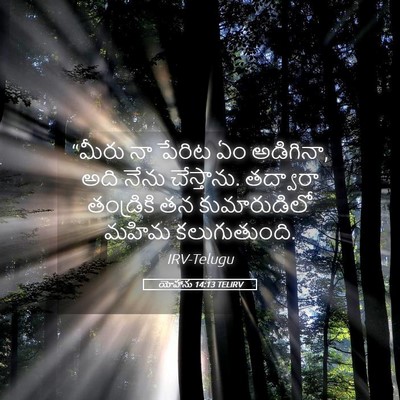 Picture 05 - యోహాను 14:13 TELIRV - “మీరు నా పేరిట ఏం - Bible Verse Picture