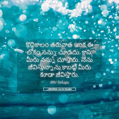 Picture 05 - యోహాను 14:19 TELIRV - కొద్దికాలం తరువాత - Bible Verse Picture
