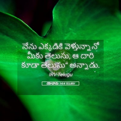 Picture 05 - యోహాను 14:4 TELIRV - నేను ఎక్కడికి - Bible Verse Picture