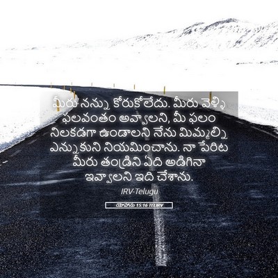 Picture 05 - యోహాను 15:16 TELIRV - మీరు నన్ను - Bible Verse Picture