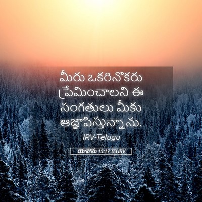 Picture 05 - యోహాను 15:17 TELIRV - మీరు ఒకరినొకరు - Bible Verse Picture