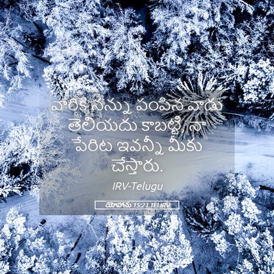Picture 05 - యోహాను 15:21 TELIRV - వారికి నన్ను - Bible Verse Picture