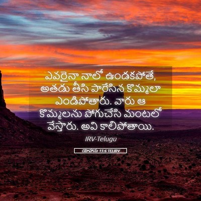 Picture 05 - యోహాను 15:6 TELIRV - ఎవరైనా నాలో - Bible Verse Picture