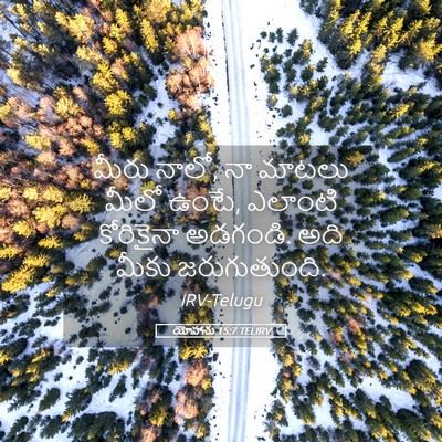 Picture 05 - యోహాను 15:7 TELIRV - మీరు నాలో, నా మాటలు - Bible Verse Picture