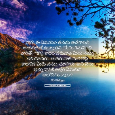Picture 05 - యోహాను 16:19 TELIRV - వారు ఈ విషయం తనను - Bible Verse Picture
